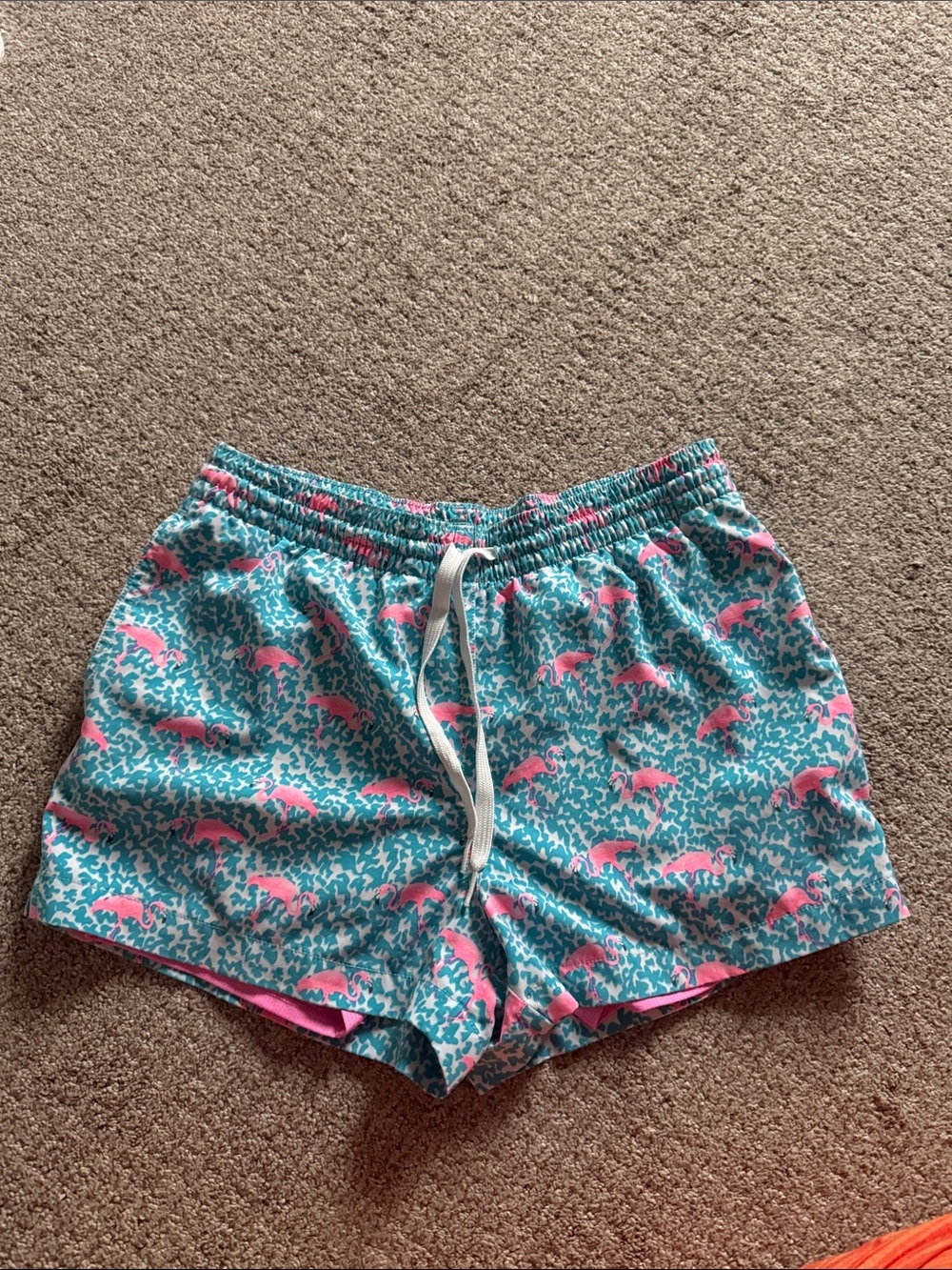 chubbies Teal Shorts with Pink Flamingo Print